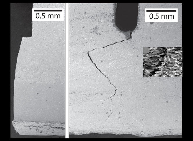 © Florian BOUVILLE/CNRS Photothèque