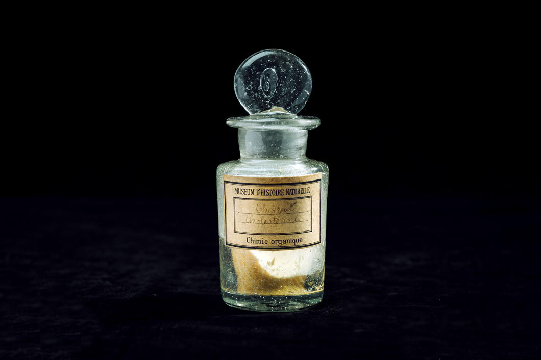 ©Cyril Frésillon / MCAM / CNRS Photothèque