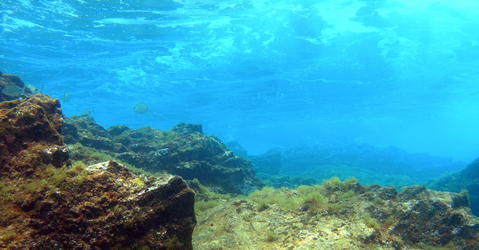 Underwater image